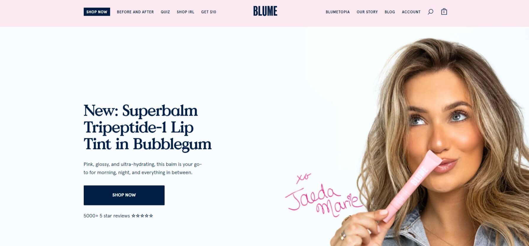 shopify case studies
